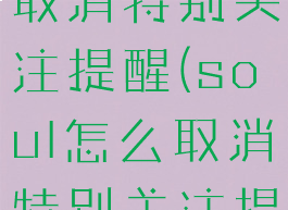 soul怎么取消特别关注提醒(soul怎么取消特别关注提醒功能)