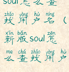 soul怎么查找用户名(新版soul怎么查找用户)