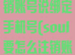 soul怎么注销账号说绑定手机号(soul要怎么注销账号)