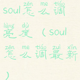 soul怎么调亮度(soul怎么调最新)