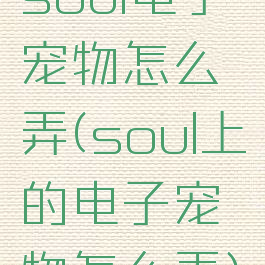 soul电子宠物怎么弄(soul上的电子宠物怎么弄)