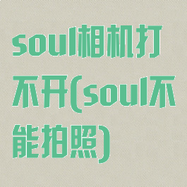 soul相机打不开(soul不能拍照)