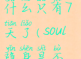 soul设置隐身状态,为什么只有7天了(soul隐身是不是没有动态提示)