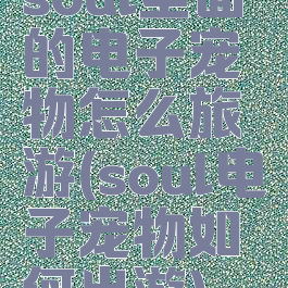 soul里面的电子宠物怎么旅游(soul电子宠物如何出游)