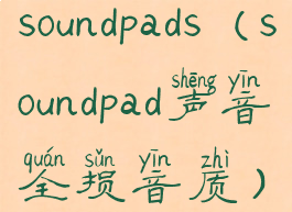 soundpads(soundpad声音全损音质)