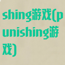 shing游戏(punishing游戏)