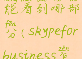skype共享屏幕对方能看到哪部分(skypeforbusiness怎么共享屏幕)