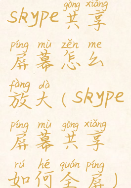 skype共享屏幕怎么放大(skype屏幕共享如何全屏)