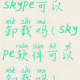 skype可以卸载吗(skype软件可以卸载吗)