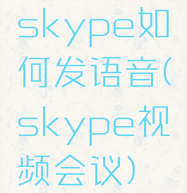 skype如何发语音(skype视频会议)