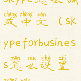 skype怎么调成中文(skypeforbusiness怎么设置中文)