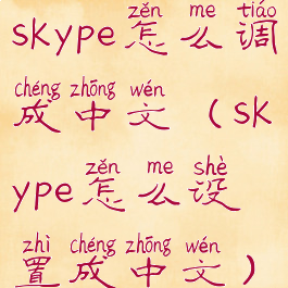 skype怎么调成中文(skype怎么设置成中文)