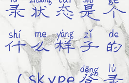 skype退出登录状态是个什么样子的(skype登录界面)