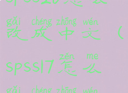 spss26怎么改成中文(spss17怎么改成中文)