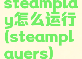 steamplay怎么运行(steamplayers)