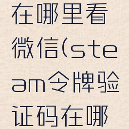 steam令牌验证码在哪里看微信(steam令牌验证码在哪里看微信号)