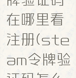 steam令牌验证码在哪里看注册(steam令牌验证码怎么看)