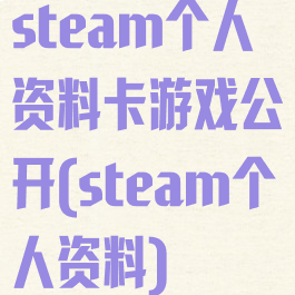 steam个人资料卡游戏公开(steam个人资料)