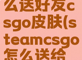 steam怎么送好友csgo皮肤(steamcsgo怎么送给朋友皮肤)