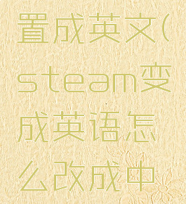 steam设置成英文(steam变成英语怎么改成中文?)