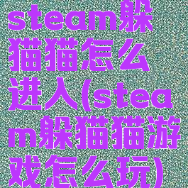 steam躲猫猫怎么进入(steam躲猫猫游戏怎么玩)