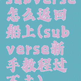 subverse怎么返回船上(subverse新手教程过不去)