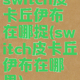 switch皮卡丘伊布在哪捉(switch皮卡丘伊布在哪里)