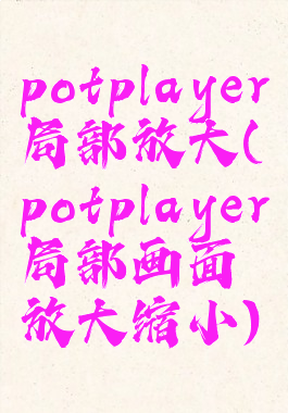 potplayer局部放大(potplayer局部画面放大缩小)