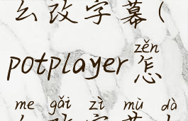 potplayer怎么改字幕(potplayer怎么改字幕大小)