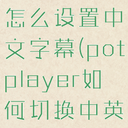 potplayer怎么设置中文字幕(potplayer如何切换中英双语)