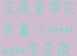 potplayer怎么设置中文字幕(potplayer怎么调语言)