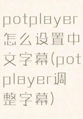 potplayer怎么设置中文字幕(potplayer调整字幕)
