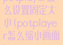 potplayer怎么设置固定大小(potplayer怎么缩小画面)