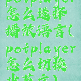potplayer怎么选择播放语言(potplayer怎么切换中英文)