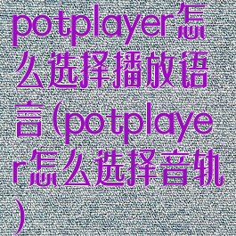 potplayer怎么选择播放语言(potplayer怎么选择音轨)