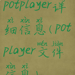 potplayer详细信息(potplayer文件信息)