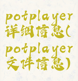 potplayer详细信息(potplayer文件信息)