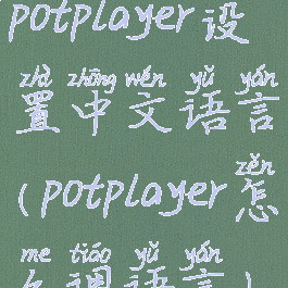 potplayer设置中文语言(potplayer怎么调语言)