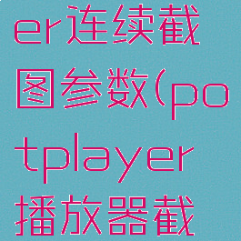 potplayer连续截图参数(potplayer播放器截图快捷键)