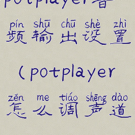 potplayer音频输出设置(potplayer怎么调声道)