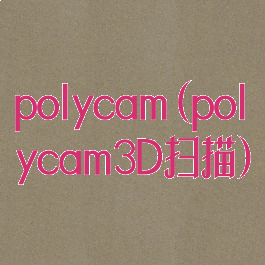 polycam(polycam3D扫描)