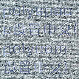 polyspace设置中文(polycom设置中文)