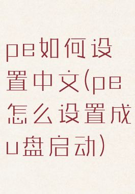 pe如何设置中文(pe怎么设置成u盘启动)