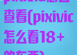 pixivid怎么查看(pixivic怎么看18+的东西)