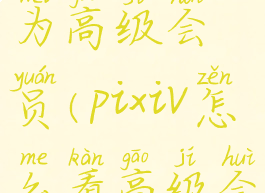 pixiv如何成为高级会员(pixiv怎么看高级会员)