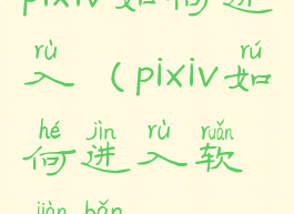 pixiv如何进入(pixiv如何进入软件版)