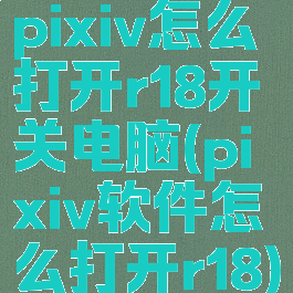 pixiv怎么打开r18开关电脑(pixiv软件怎么打开r18)