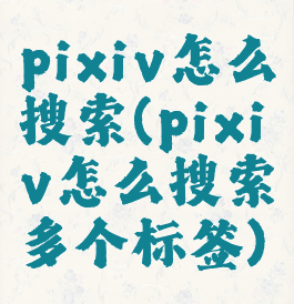 pixiv怎么搜索(pixiv怎么搜索多个标签)