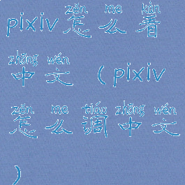 pixiv怎么看中文(pixiv怎么调中文)