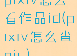 pixiv怎么看作品id(pixiv怎么查pid)